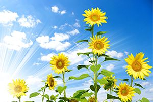 活在當(dāng)下，不負(fù)今朝