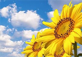 快來看！艾格多集團(tuán)第一屆攝影大賽優(yōu)秀作品展示來啦