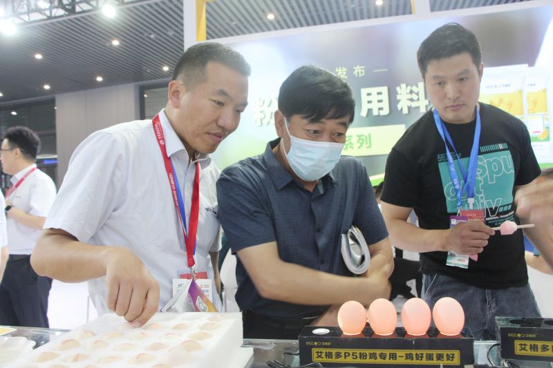 中原畜博會(huì)1